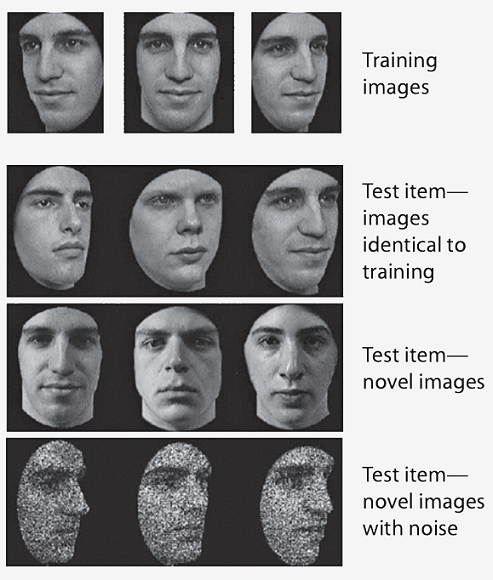 Cambridge Face Memory Test